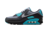 Air Max 90 "Dusty Cactus" DM0029 013