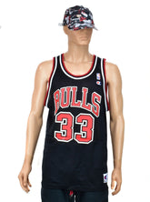Chicago Bulls Scottie Pippen Alternate Champion Jersey Size 48