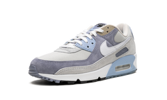 Air Max 90 "Ashen Slate" DM0035 400