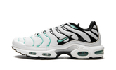 Air Max Plus "Atmos" 604133 148