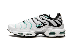 Air Max Plus "Atmos" 604133 148