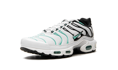Air Max Plus "Atmos" 604133 148