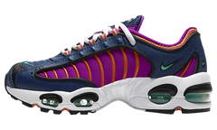 Air Max Tailwind 4 GS "Blue Void Vivid Purple" CW7005 400