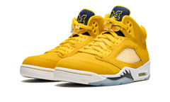 5 Retro PE "Michigan" DJ4954 997021