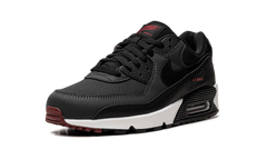 Air Max 90 "Anthracite Team Red" DQ4071 001