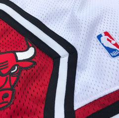 Chicago Bulls Nike Authentic NBA Double Mesh Shorts Size 36