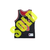 Chicago Bulls Scottie Pippen Champion Reversible Jersey Size Youth Small