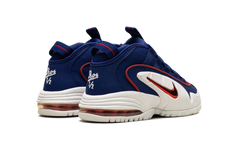 Air Max Penny Le (Gs) 315519 400