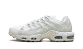 Air Max Terrascape Plus "White Pure Platinum" DQ3977 100