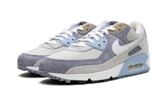 Air Max 90 "Ashen Slate" DM0035 400