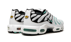 Air Max Plus "Atmos" 604133 148