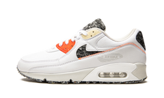Air Max 90 "Recycled Wool Pack" DD0383 100