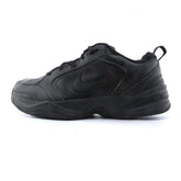 AIR MONARCH IV