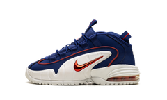 Air Max Penny Le (Gs) 315519 400