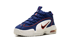 Air Max Penny Le (Gs) 315519 400