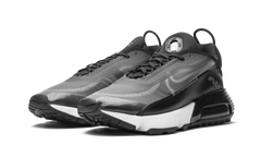 AIR MAX 2090 "Black / Wolf Grey" CW7306 001