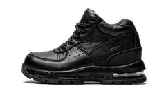Air Max Goadome PS 311568 001