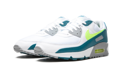 Air Max 90 "Spruce Lime" CZ2908 100