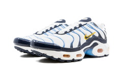 Air Max Plus CD0609 100