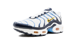 Air Max Plus CD0609 100