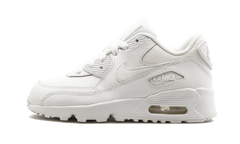 Air Max 90 LTR (PS)