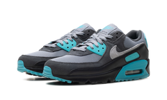 Air Max 90 "Dusty Cactus" DM0029 013