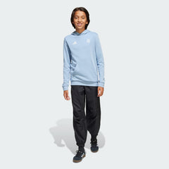 Kids' adidas Argentina Anniversary DNA Hoodie Kids