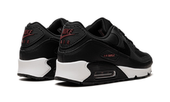Air Max 90 "Anthracite Team Red" DQ4071 001