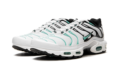Air Max Plus "Atmos" 604133 148