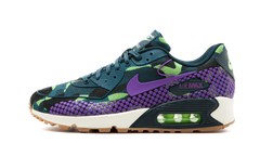 OMENS AIR MAX 90 WMNS 807298 300