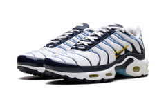 Air Max Plus CT1094 100