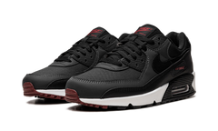 Air Max 90 "Anthracite Team Red" DQ4071 001