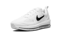 Air Max Genome