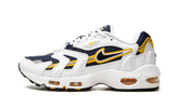 Air Max 96 2 "Goldenrod" CZ1921 100