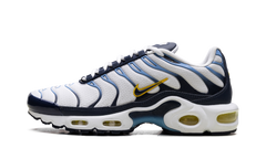 Air Max Plus CT1094 100