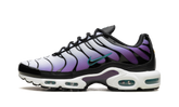 Air Max Plus "Reverse Grape" FQ2415 500