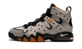 Air Max2 CB 94 "Light Iron Ore" FD8632 001