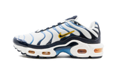 Air Max Plus CD0609 100