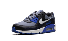 Air Max 90 Gore-Tex "Cool Grey Anthracite Obsidian Pure Platinum" FD5810 003