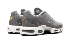 Air Max Plus SE "Flat Pewter" DV7665 002