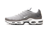 Air Max Plus SE "Flat Pewter" DV7665 002