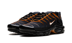 Air Max Plus "OBSIDIAN MONARCH" FN6949 400