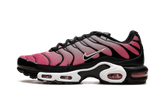 Air Max Plus "All Day" HF3837 600