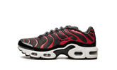 Air Max Plus GS CD0609 200