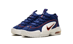 Air Max Penny Le (Gs) 315519 400