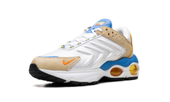 Air Max TW "Frank Rudy" DV1232 100