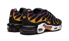 Air Max Plus DX2663 001