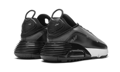 AIR MAX 2090 "Black / Wolf Grey" CW7306 001