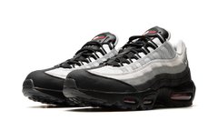 Air Max 95 "Fish Scales" DQ3979 001
