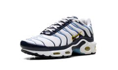 Air Max Plus CT1094 100